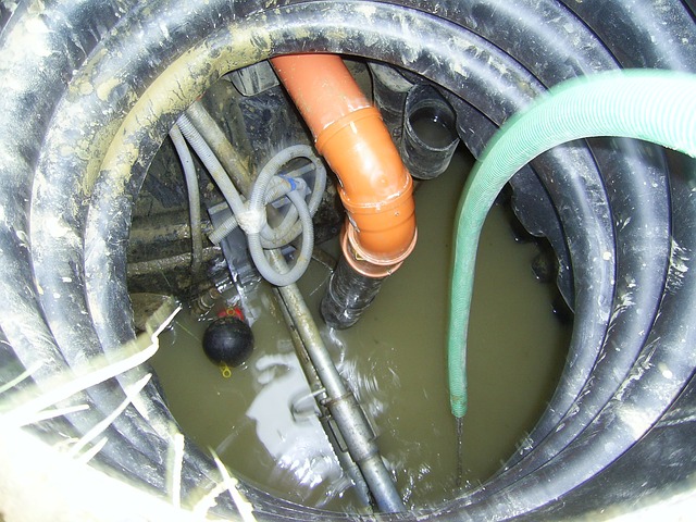 sewer repair twin falls id